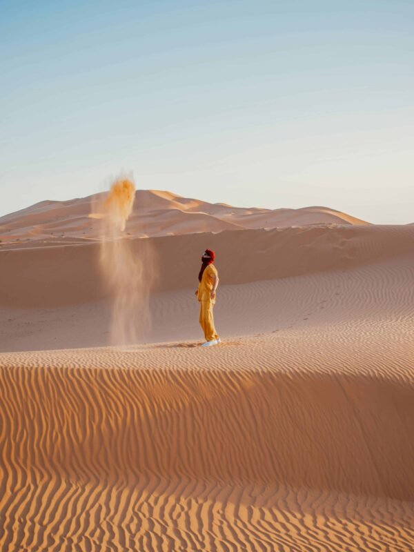 About South Desert Tours